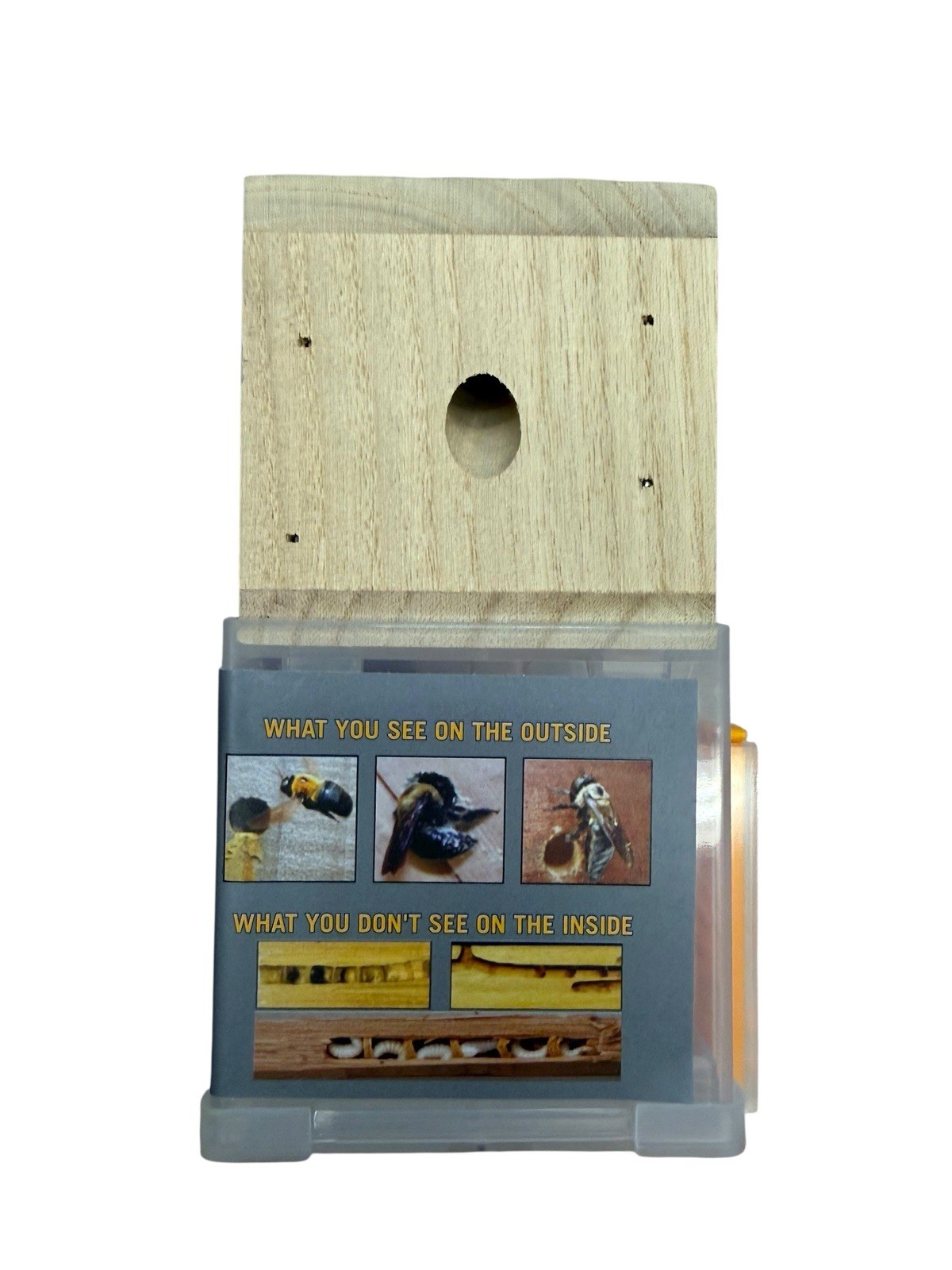 Lot of 6 x Bees N Things Outdoor Carpenter Bee Hanging Trap with 15 ft. Coverage