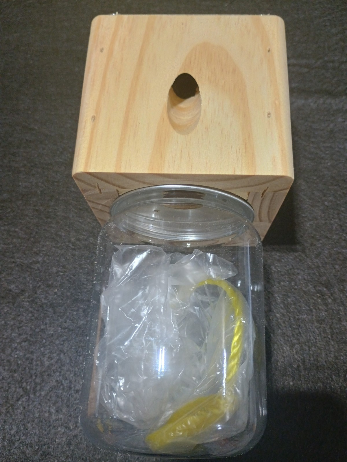 Best Bee Trap For Carpenter Bees 2 Pack