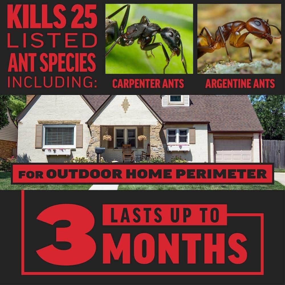 1 lb. 1,080 sq.ft. ft. Outdoor Ant Killer Granule Bait for Home Perimeters