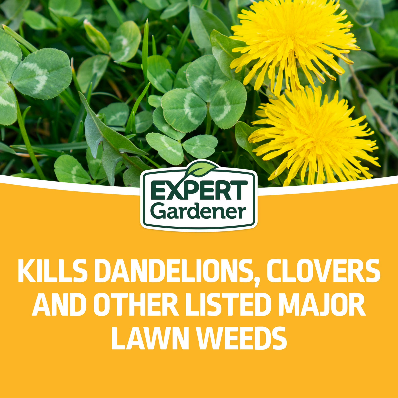 Weed Killer Kills Dandelions Clover 5000 Sq Ft Granular, 14 Lb Expert Gardener