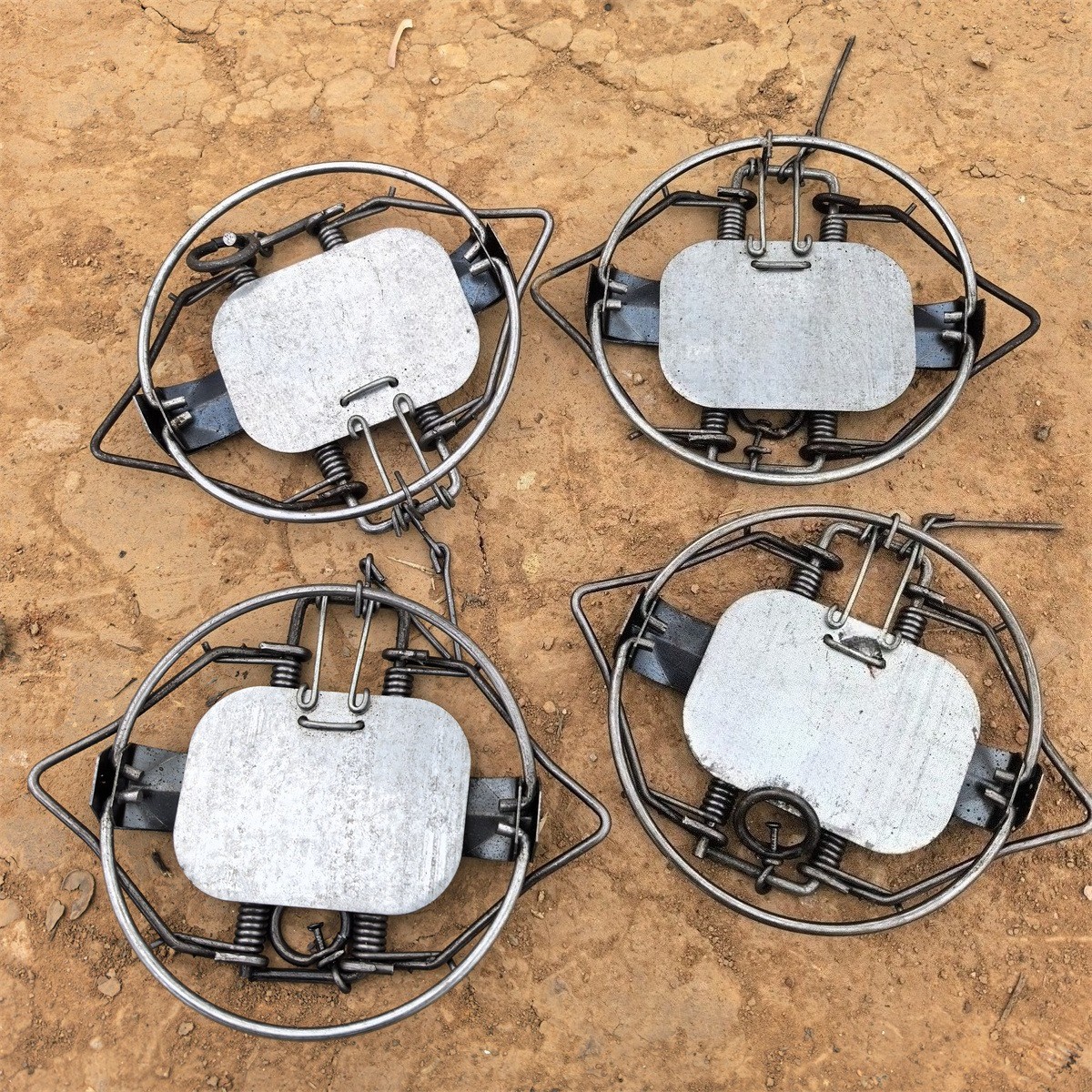4Pc 5.12In / 13cm Coil Spring Nutria Rabbit Trap Mice Fox Gopher Mole Rat Mouse