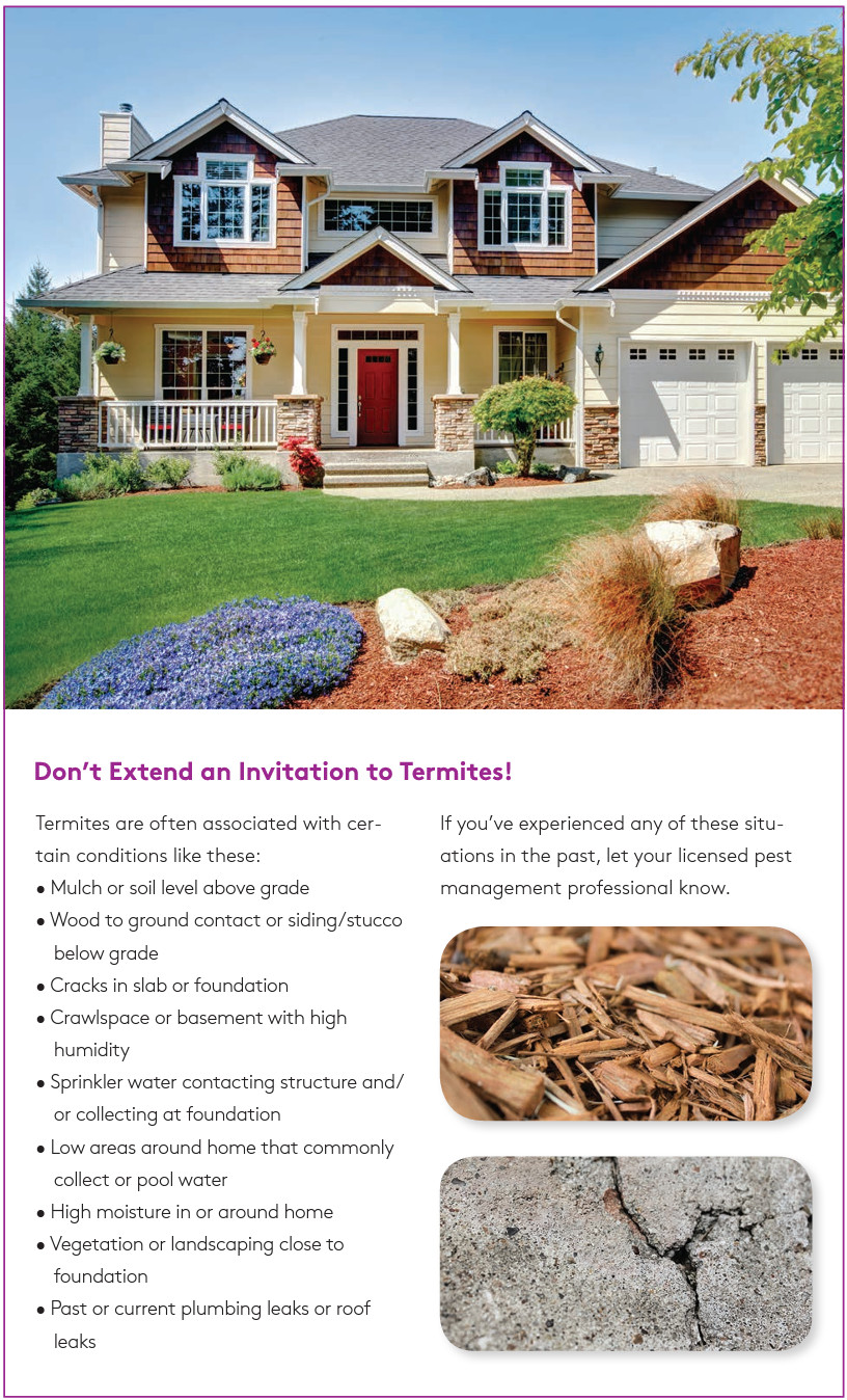 Taurus SC Insecticide (Ant & Termite Control) – 78 Oz. (Generic Termidor SC)