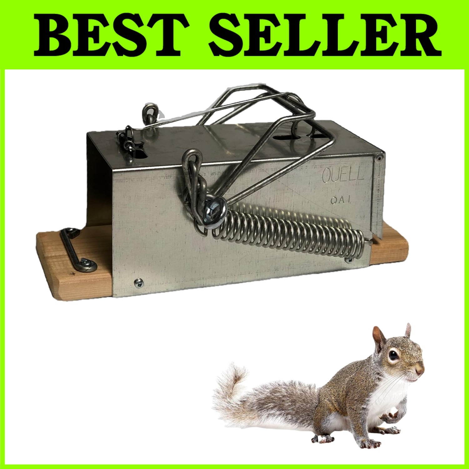 High-Quality Squirrel Trap – Efficient Extermination=