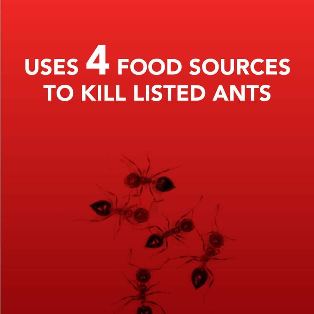 Ortho Metal Ant Bait Stations Pre-Baited Indoor Outdoor Red White (10-Pack)