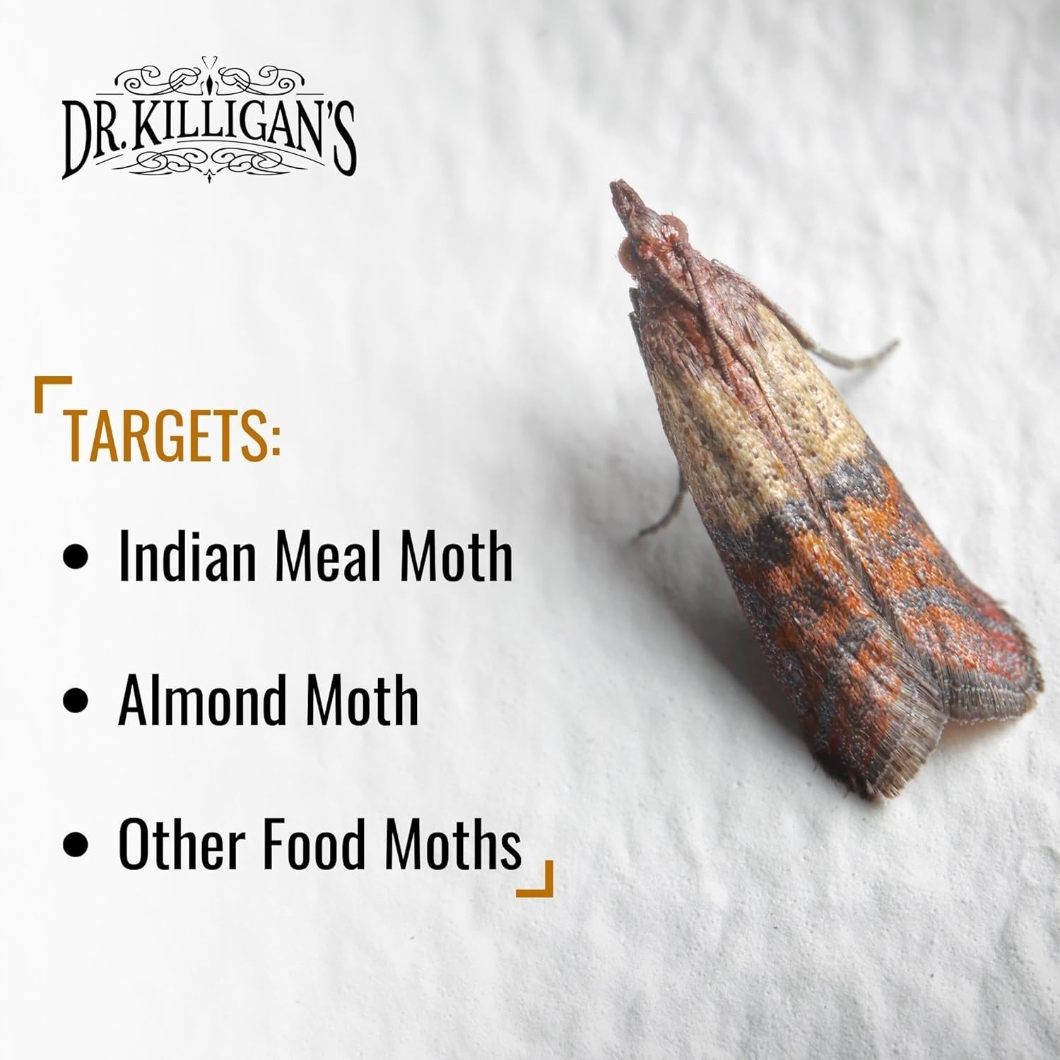 Dr. Killigan’s Moth Traps with Pheromones – 20 Pack