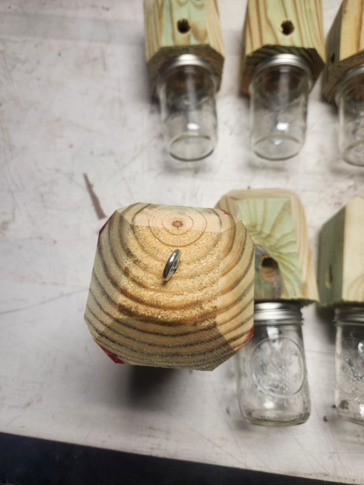 lot of 2 carpenter bee traps