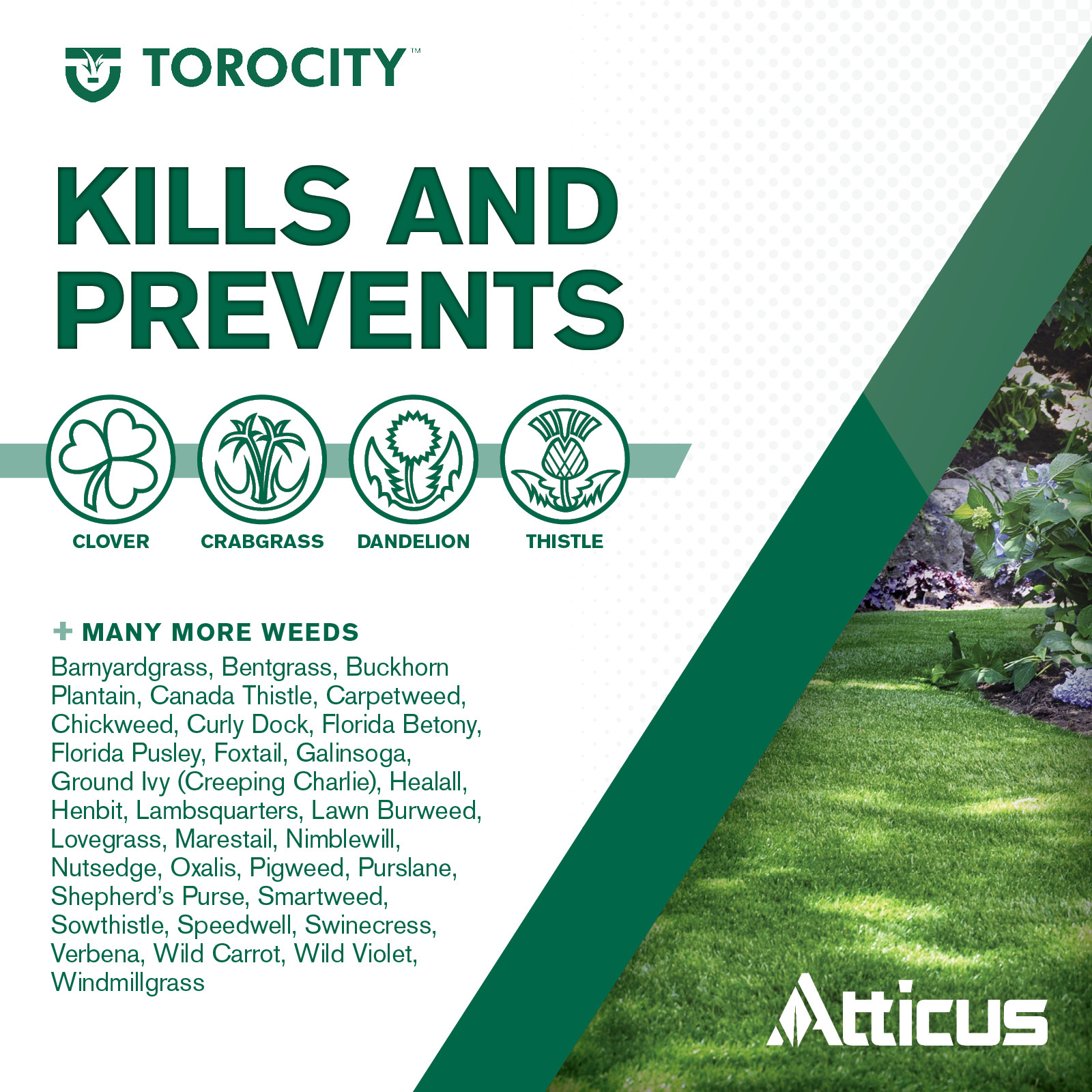 Torocity Turf Herbicide (8 oz) by Atticus – Mesotrione Weed Killer for Lawns