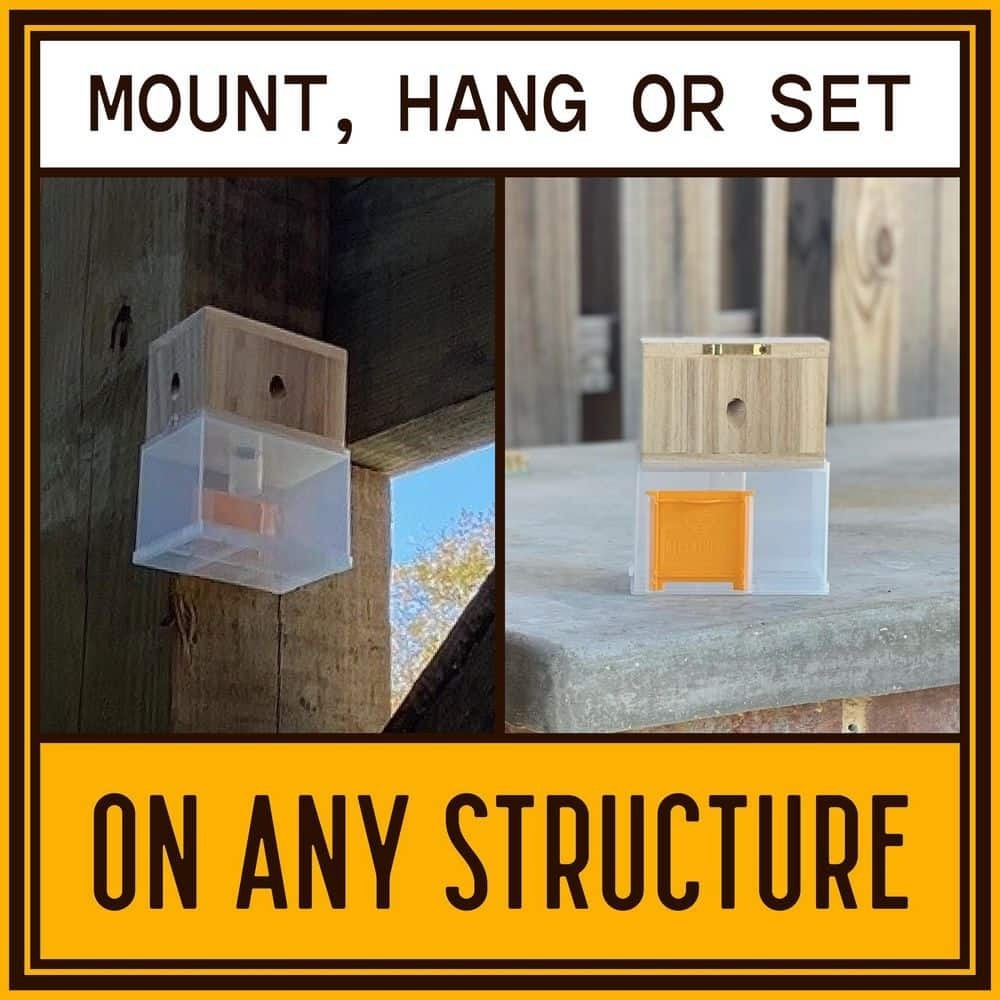 Bees N Things Outdoor Carpenter Bee Hanging Insect Trap with 15 ft. Coverage