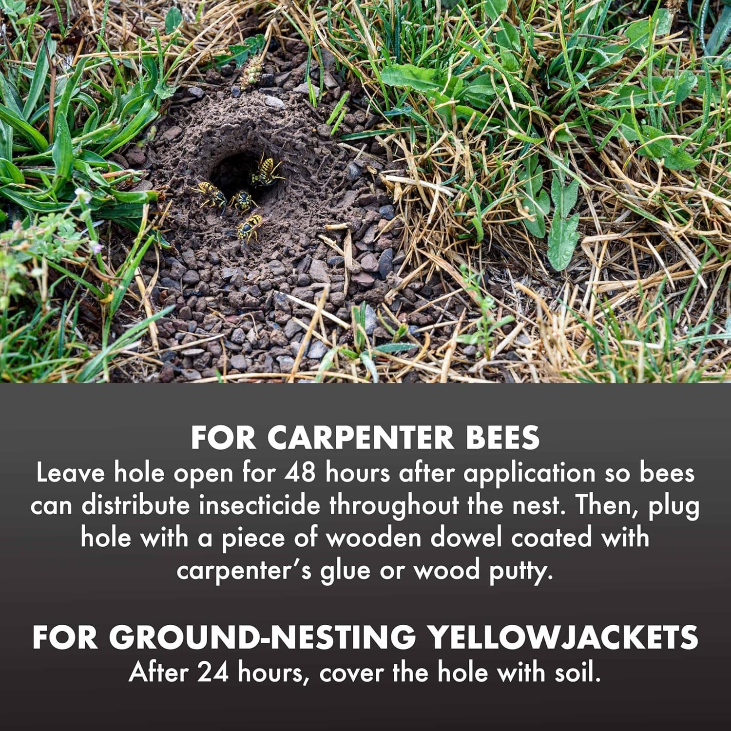 Spectracide Carpenter Bee And Ground-Nesting Yellowjacket 1 Pack, Yellow
