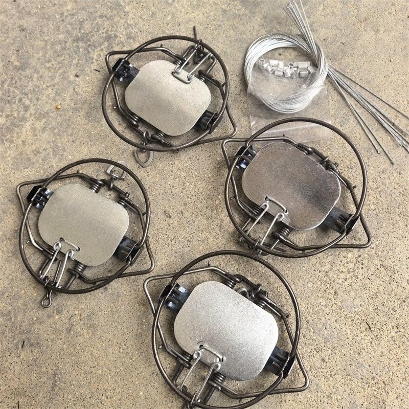 4 Units 4-3/10″ Coil Spring Traps Lynx Coyote Bobcat Mouse Rabbit Rat Trapping