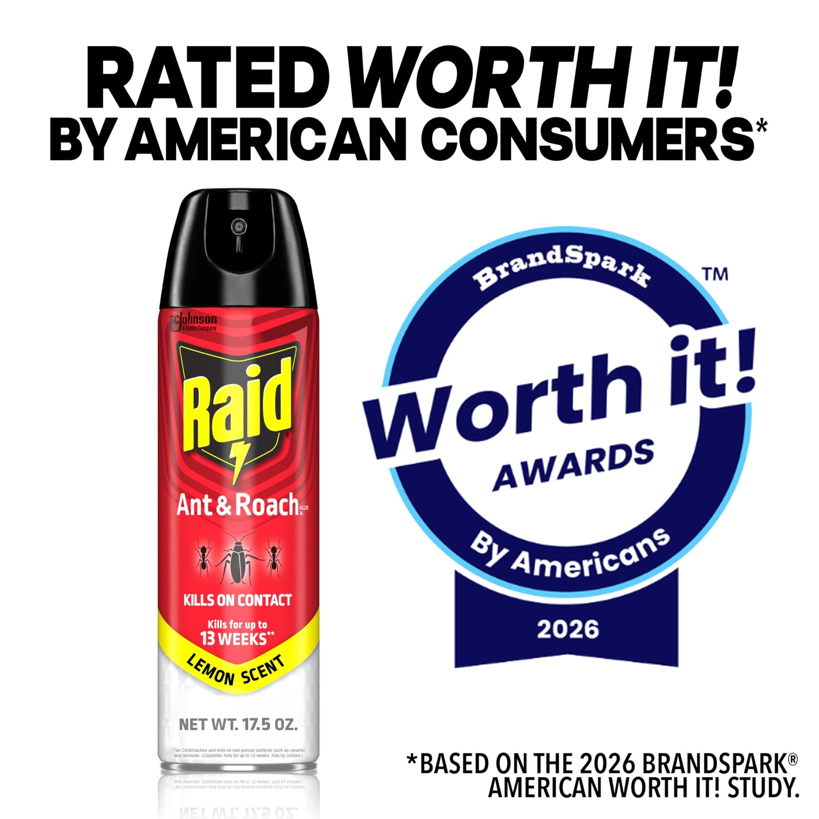 Raid Ant & Roach Killer Spray For Listed Bugs, Keeps 17.5 Fl Oz (Pack of 1)