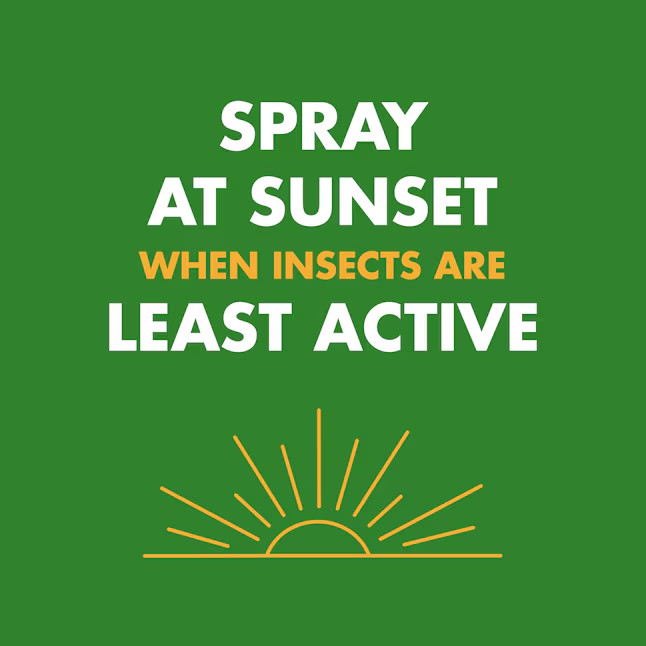 18.5 oz. Wasp and Hornet Killer Aerosol Spray (Insect Killer)