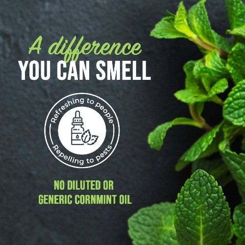 Mighty Mint Peppermint Oil Bug Spray Pump 15oz Pet Safe Plant Indoor Outdoor