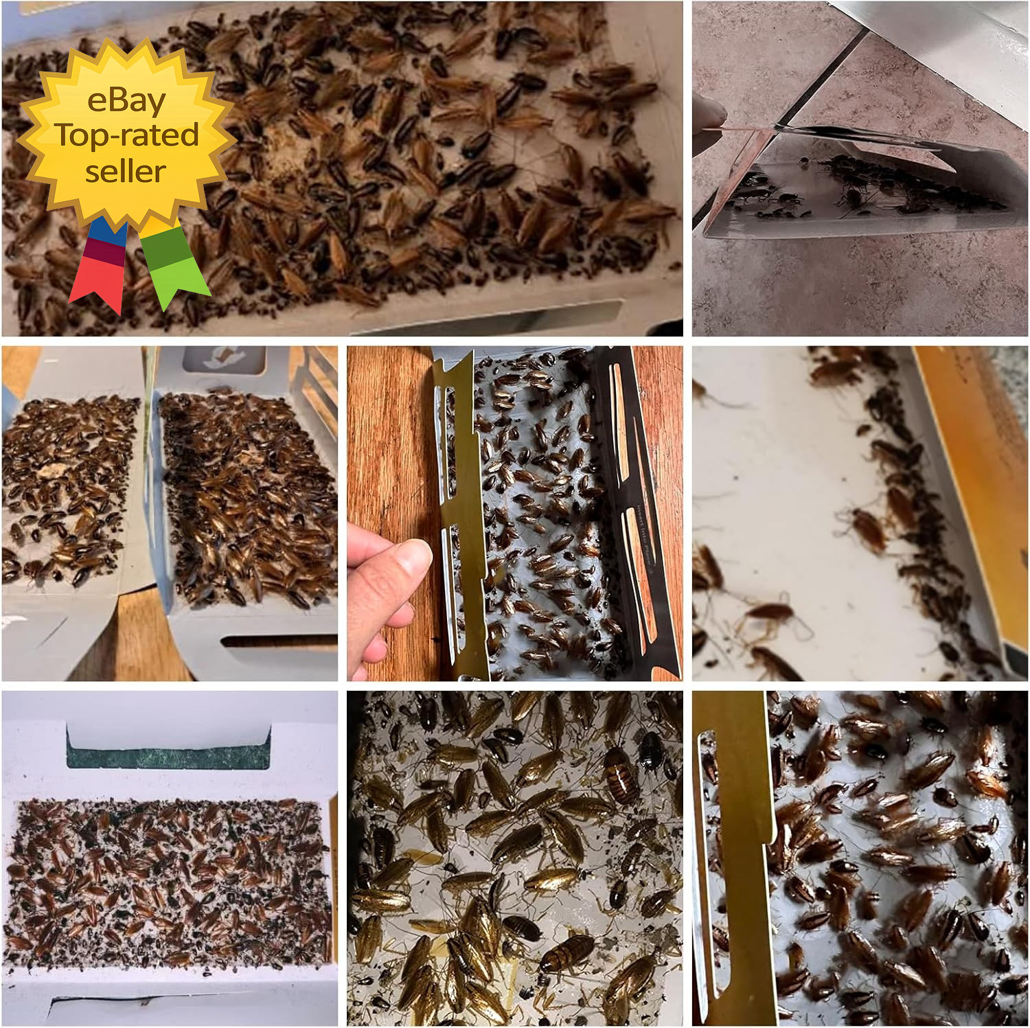 20 Pack Roach Traps Cockroach Traps Indoor Home Glue Roach Traps