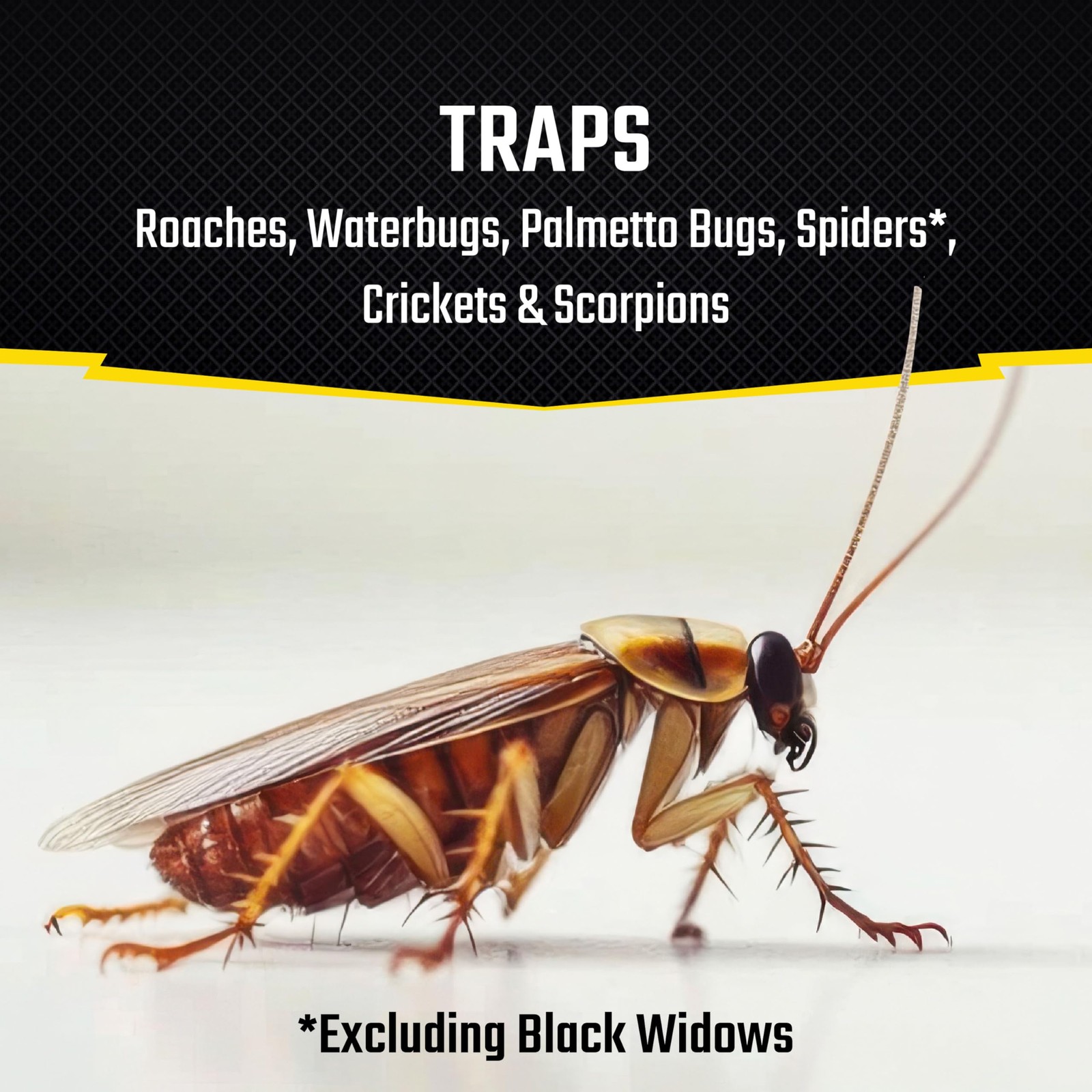 Black Flag Roach Motel Traps, 2-Count, 1-Pack 1 Pack,