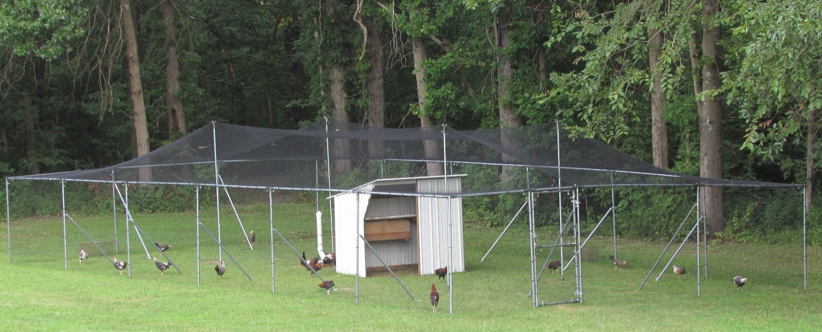 Netting Poultry Anti Bird Aviary Fruit Garden Protection Nets Long Lasting!