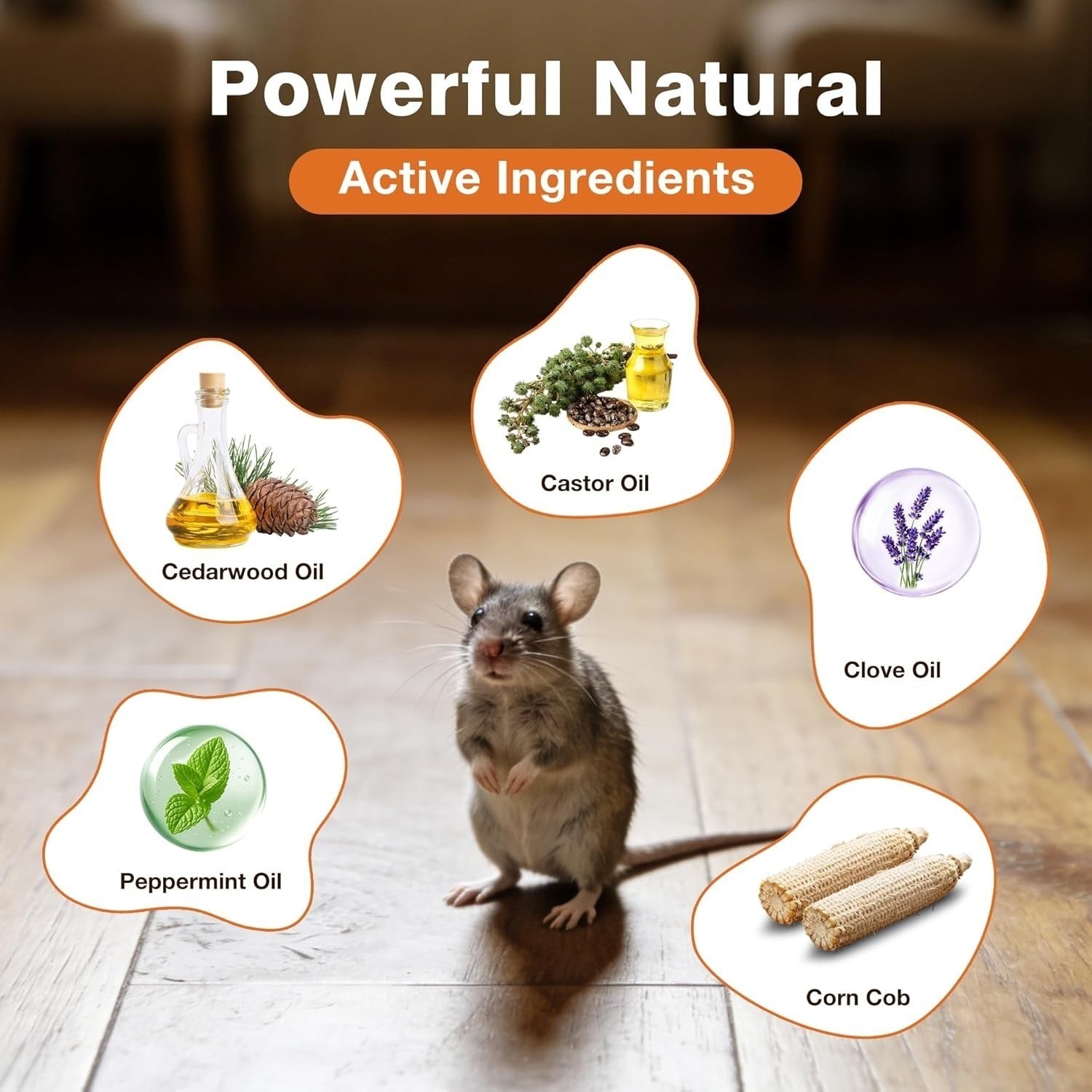 Natural Rodent Repellent Peppermint Sachets 24 Pack Mouse Mice Pest – US