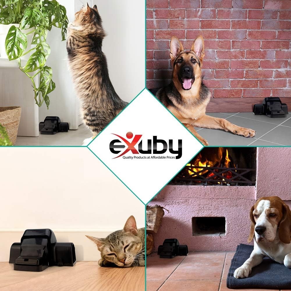 Pet-Safe & Child-Safe Rat Traps with Tunnel Design – 1 Pack for Instant Capture