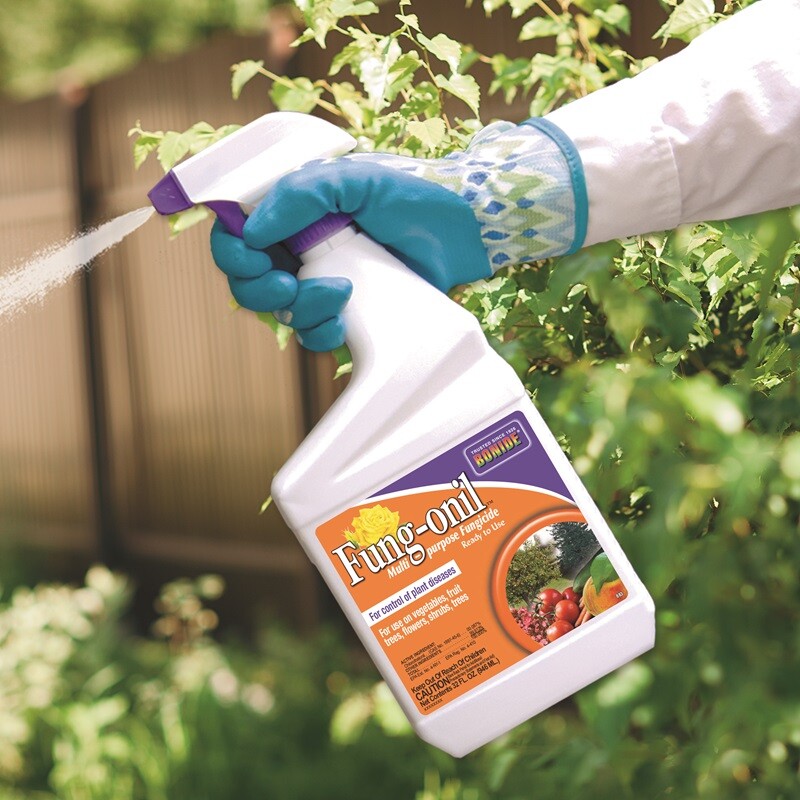 Bonide Fung-onil Fungonil 8836 32 oz Ready to Use Multi Purpose Garden Fungicide
