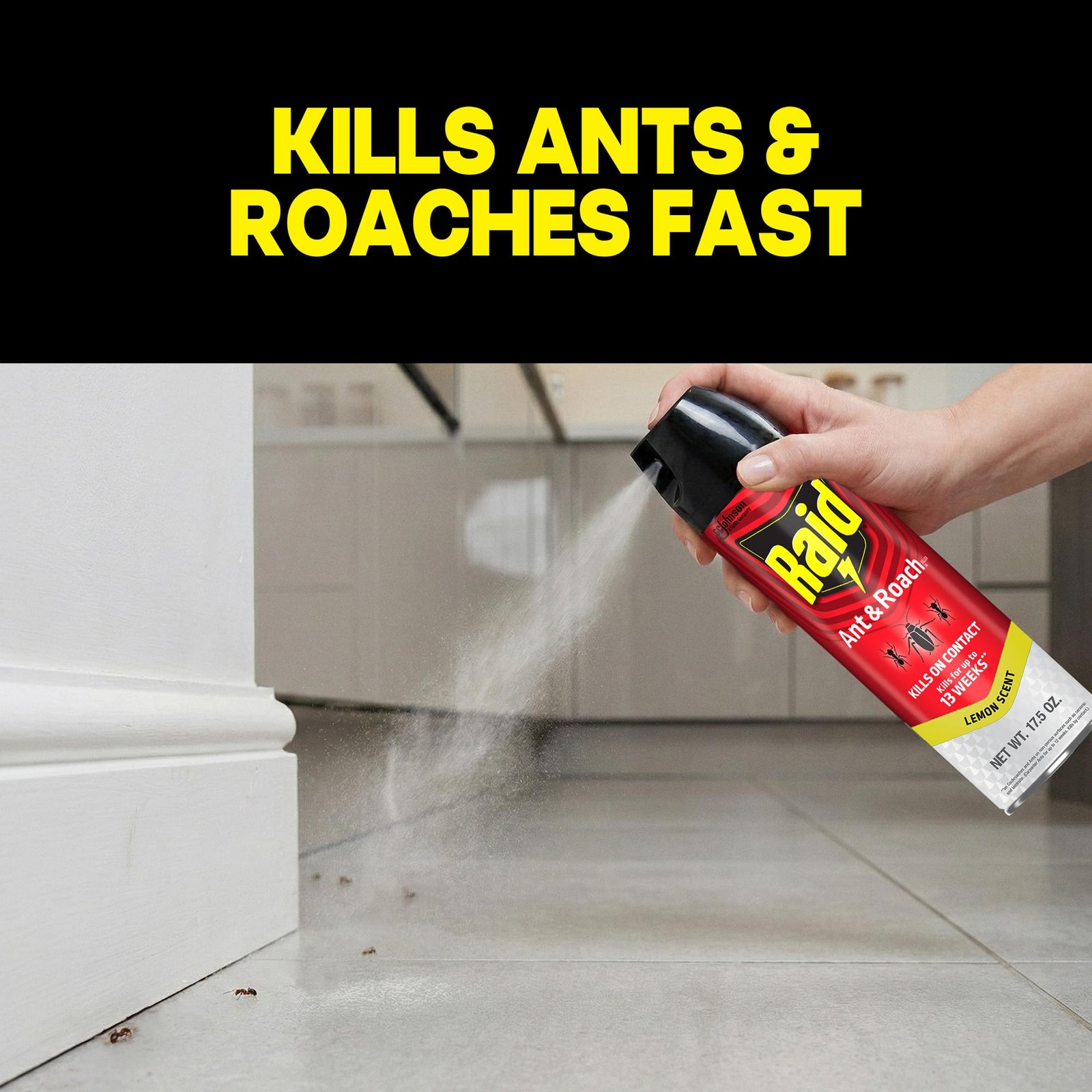 Raid Ant & Roach Killer Spray For Listed Bugs, Keeps 17.5 Fl Oz (Pack of 1)