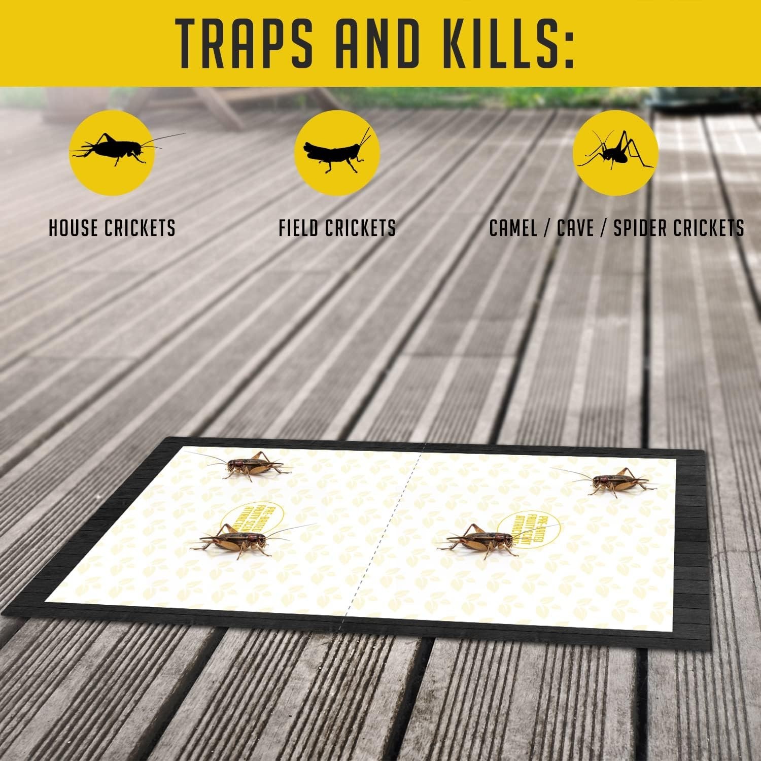 Cricket Traps Indoor (12 Traps) Extra Large Bug Sticky Traps – Non-Toxic Extra S