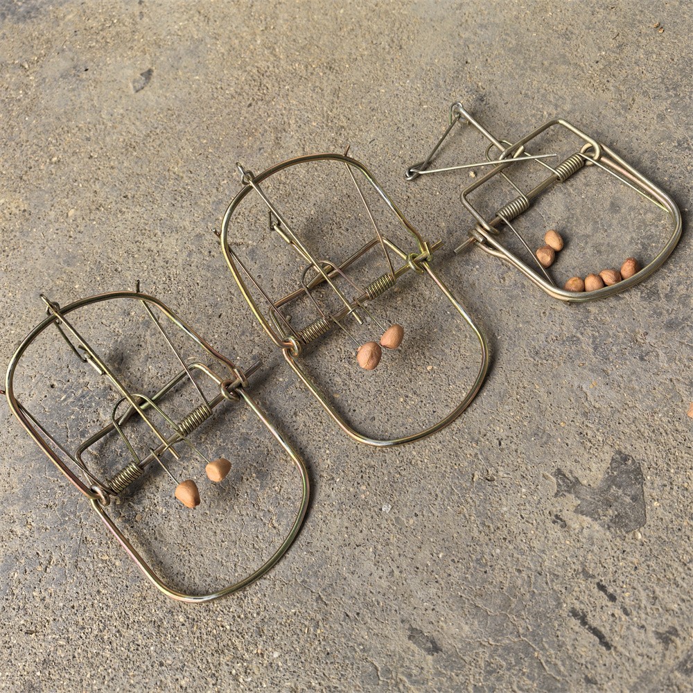 3 Pieces Mouse Traps Rat Mice Killer Snap Trap Power Rodent Heavy Duty Pest Trap