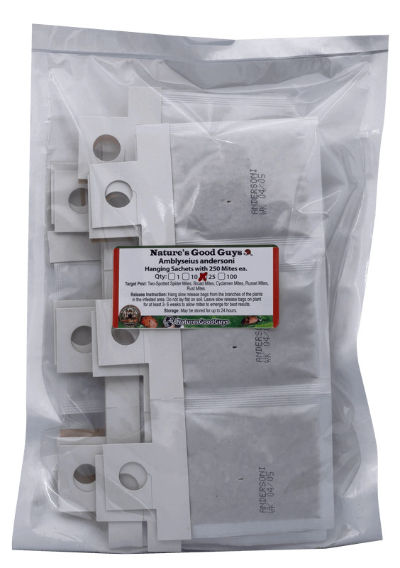 Slow Release Sachets – Amblyseius andersoni – Predatory Spider Mite Control