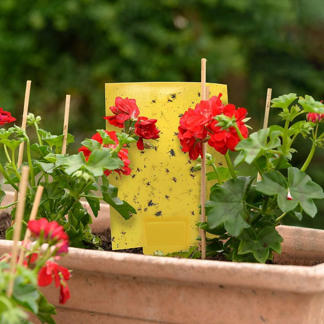 20-Pack Dual-Sided Yellow Sticky Traps for Flying Plant Insect Such as Fungus
