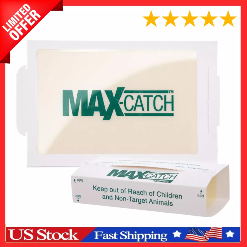 Mice Glue Traps Pest Sticky Boards Trap Catch Spiders Insect Non Toxic, 36 Count