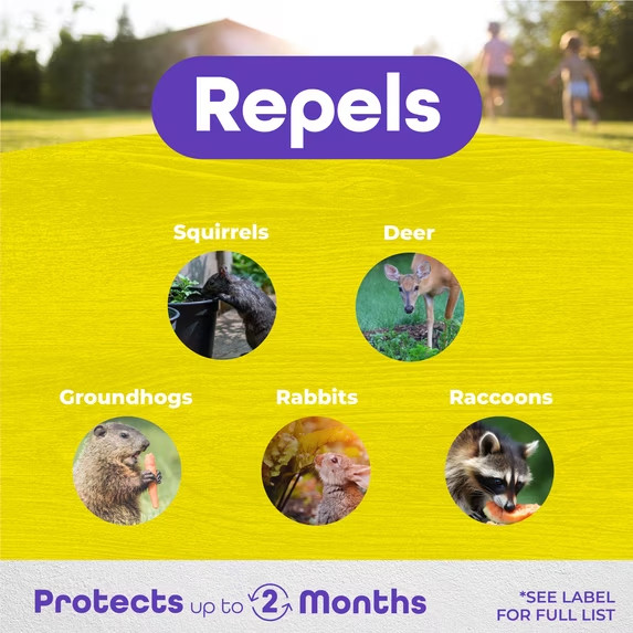 Bonide 3 lb. Repels-All Animal Repellent Granules, Repels by Taste, Smell, and T