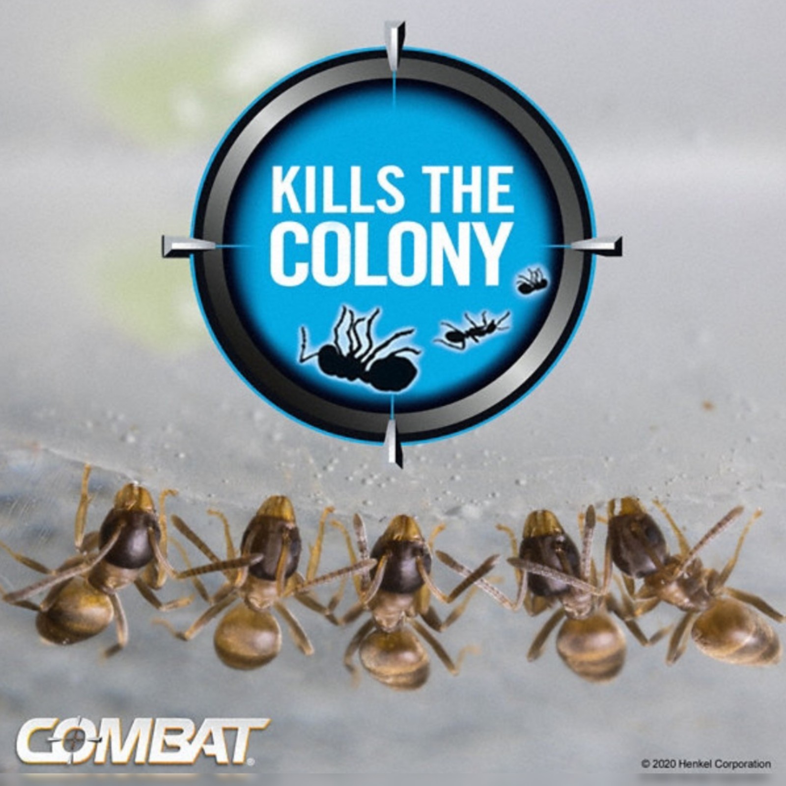 Combat Ant Bait Stations 3 Boxes 18 Traps Indoor Outdoor Ant Colony Killer