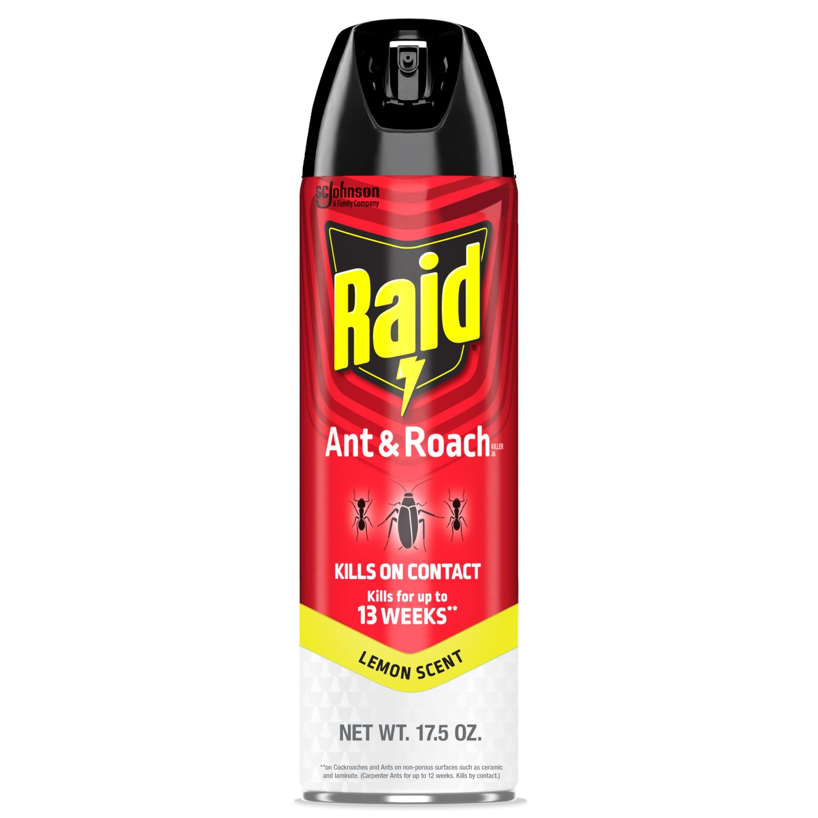 Raid Ant & Roach Killer Spray For Listed Bugs, Keeps 17.5 Fl Oz (Pack of 1)