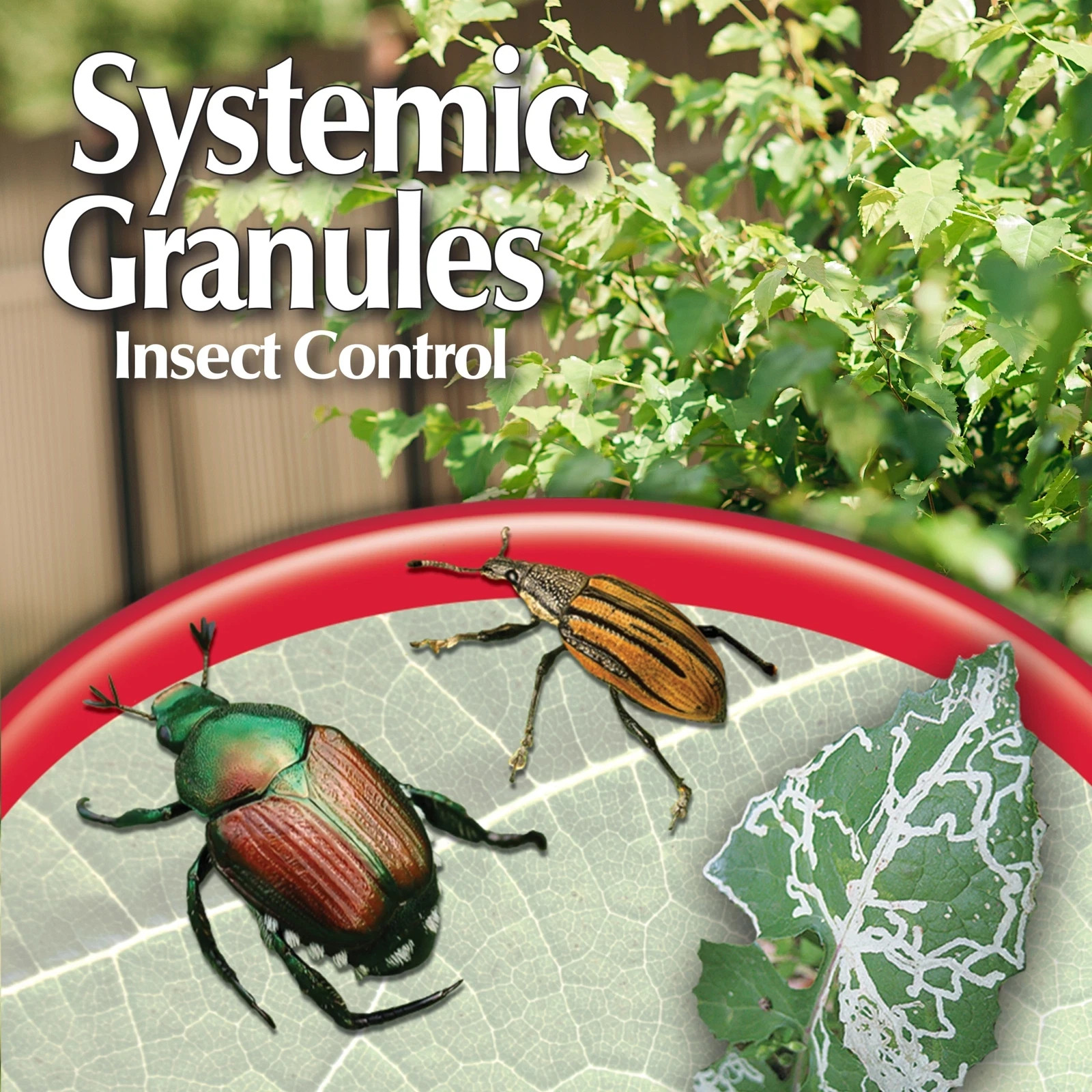 Bonide Systemic Insect Control Ready to Use Granules, 1 pound
