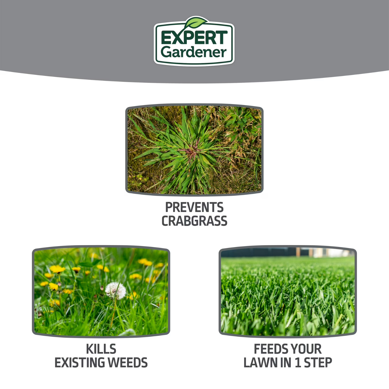Expert Gardener Weed & Feed Plus Crabgrass Control, Lawn Fertilizer 18-0-1, 12 l