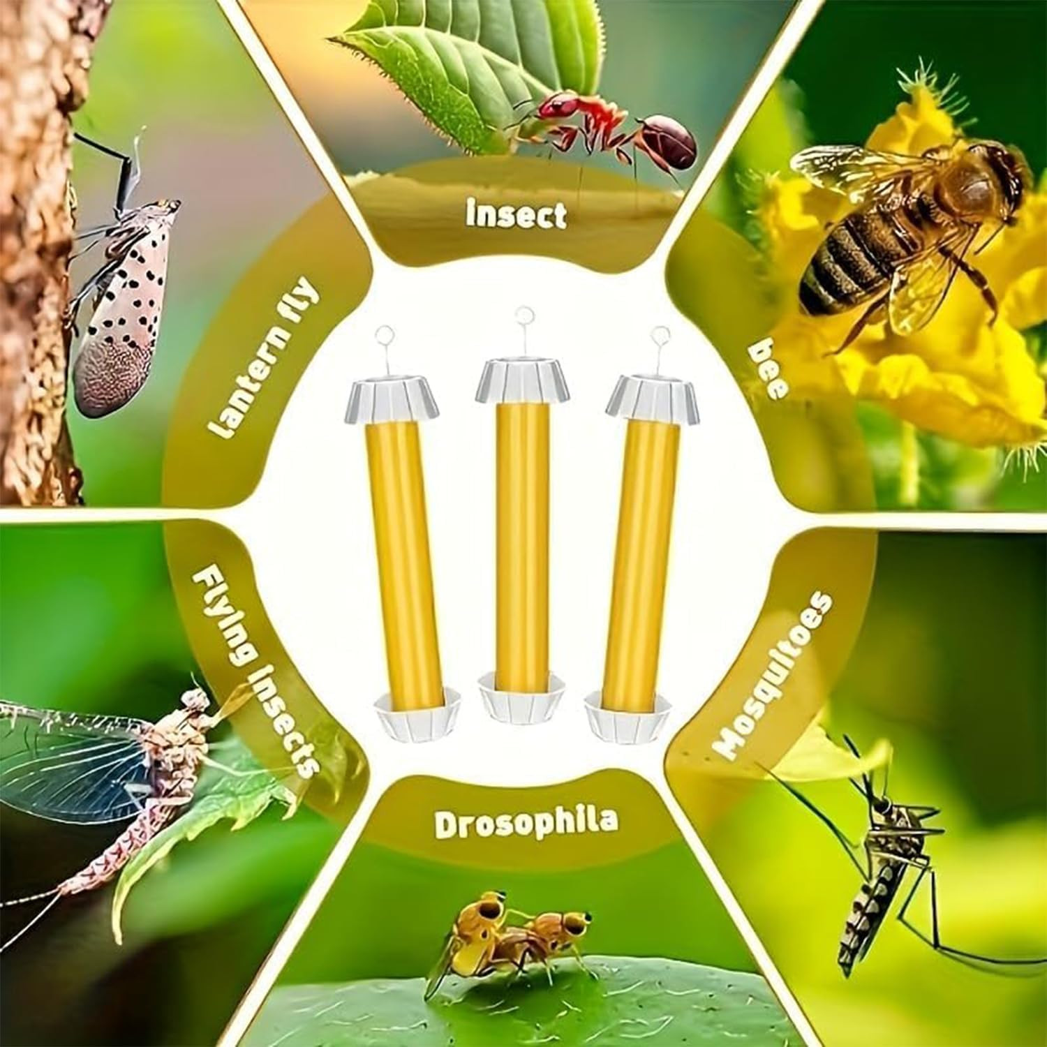 1 PCS Fly Trap Fly Stick Indoor Outdoor Long Lasting Adhesive Fly Catcher with H
