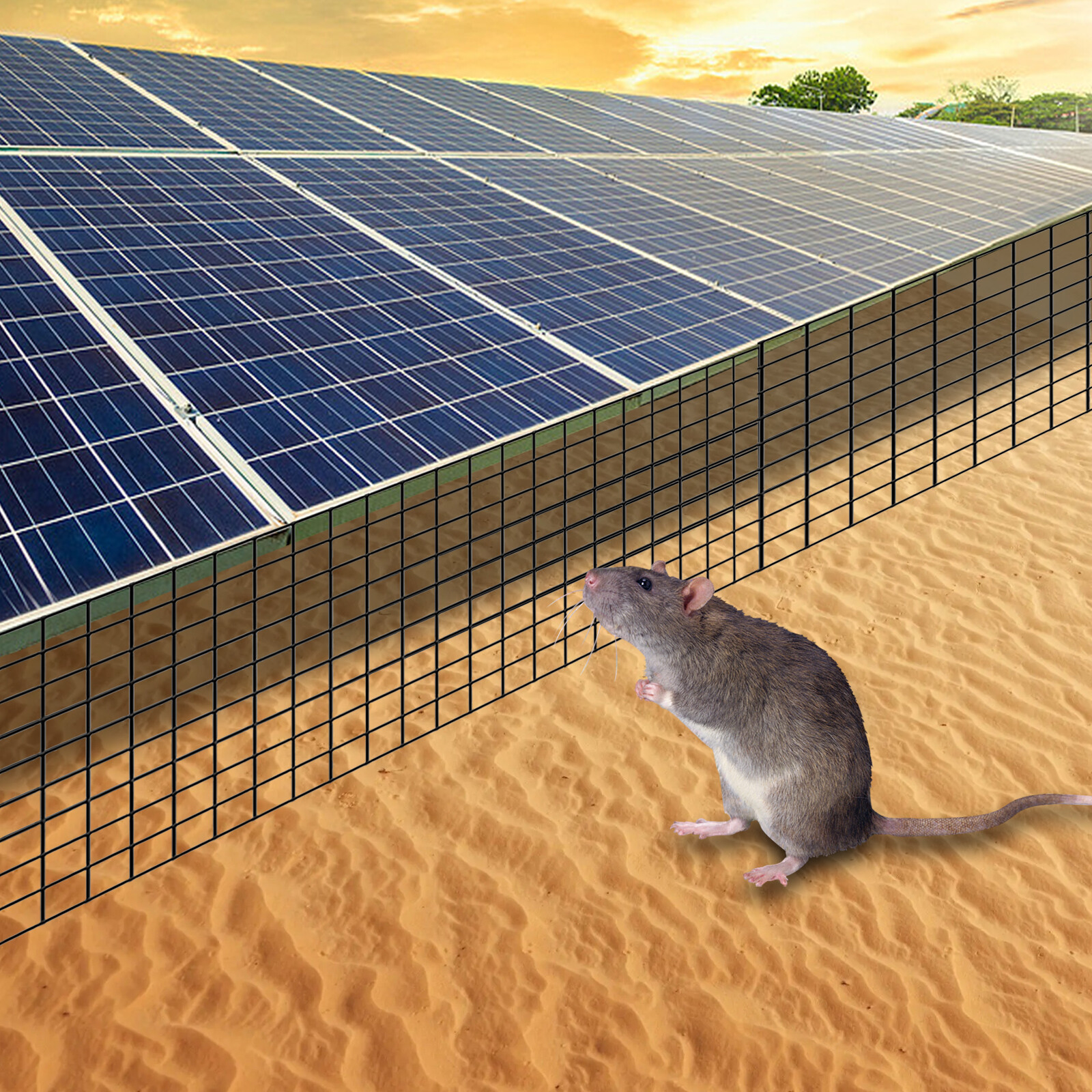Solar Panel Bird Proof Guard Squirrel Pigeon Protection Wire Guard Kit 6in 100ft