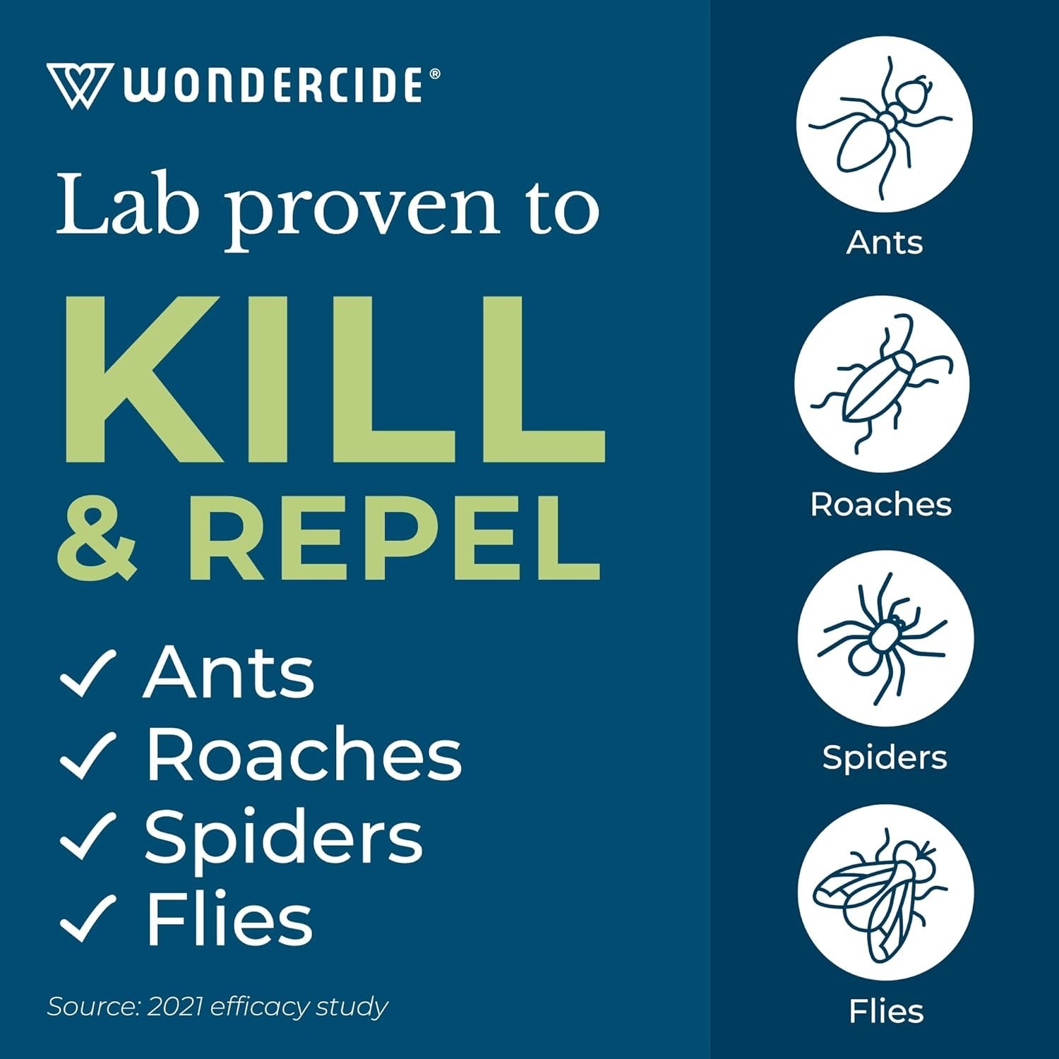 Indoor Pest Control Spray for Home and Kitchen – Ant, Roach, Spider, Fly, Fle…