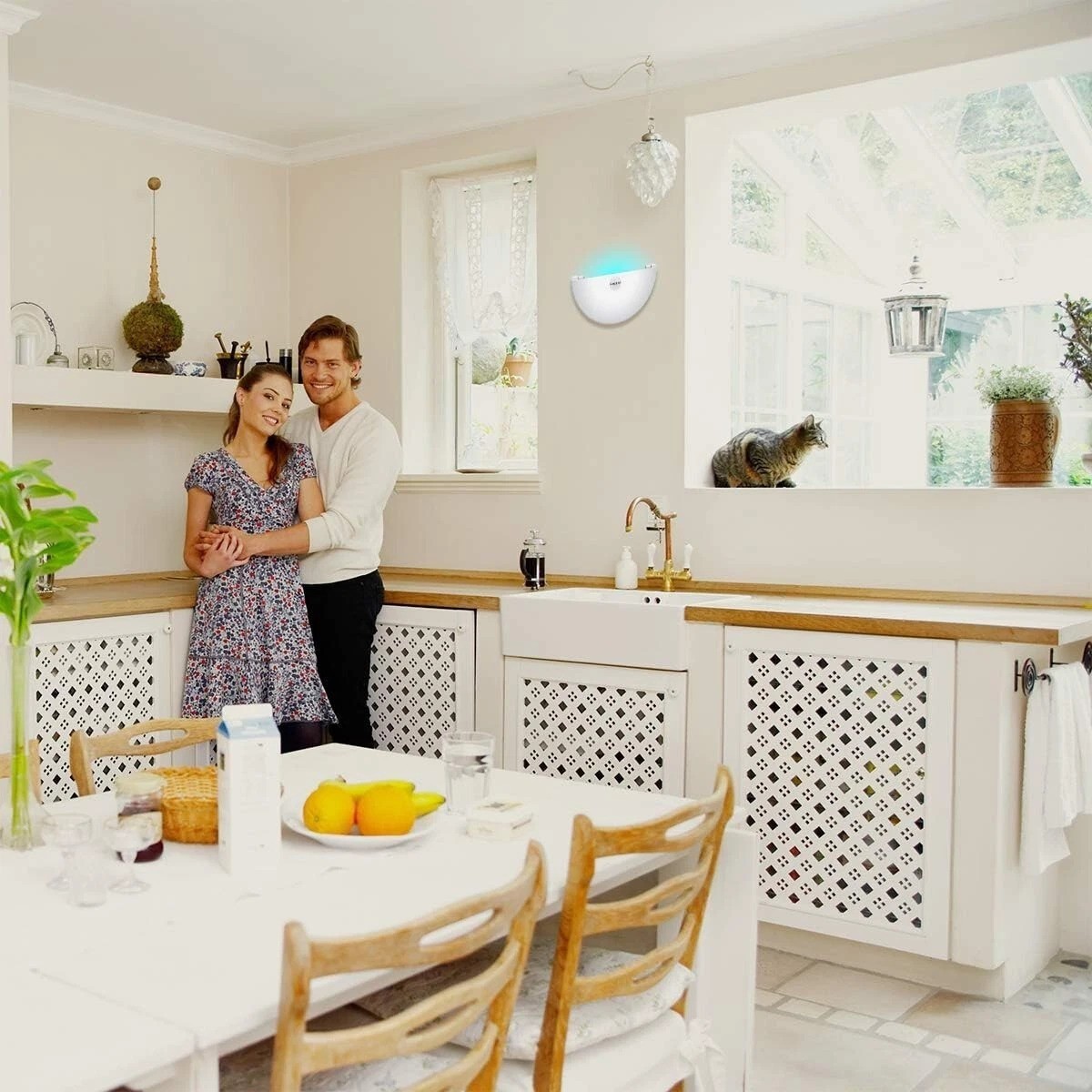 Wall Sconce Fly Light Trap for Capturing Flies, Moths, Gnats, Mosquitos and O…