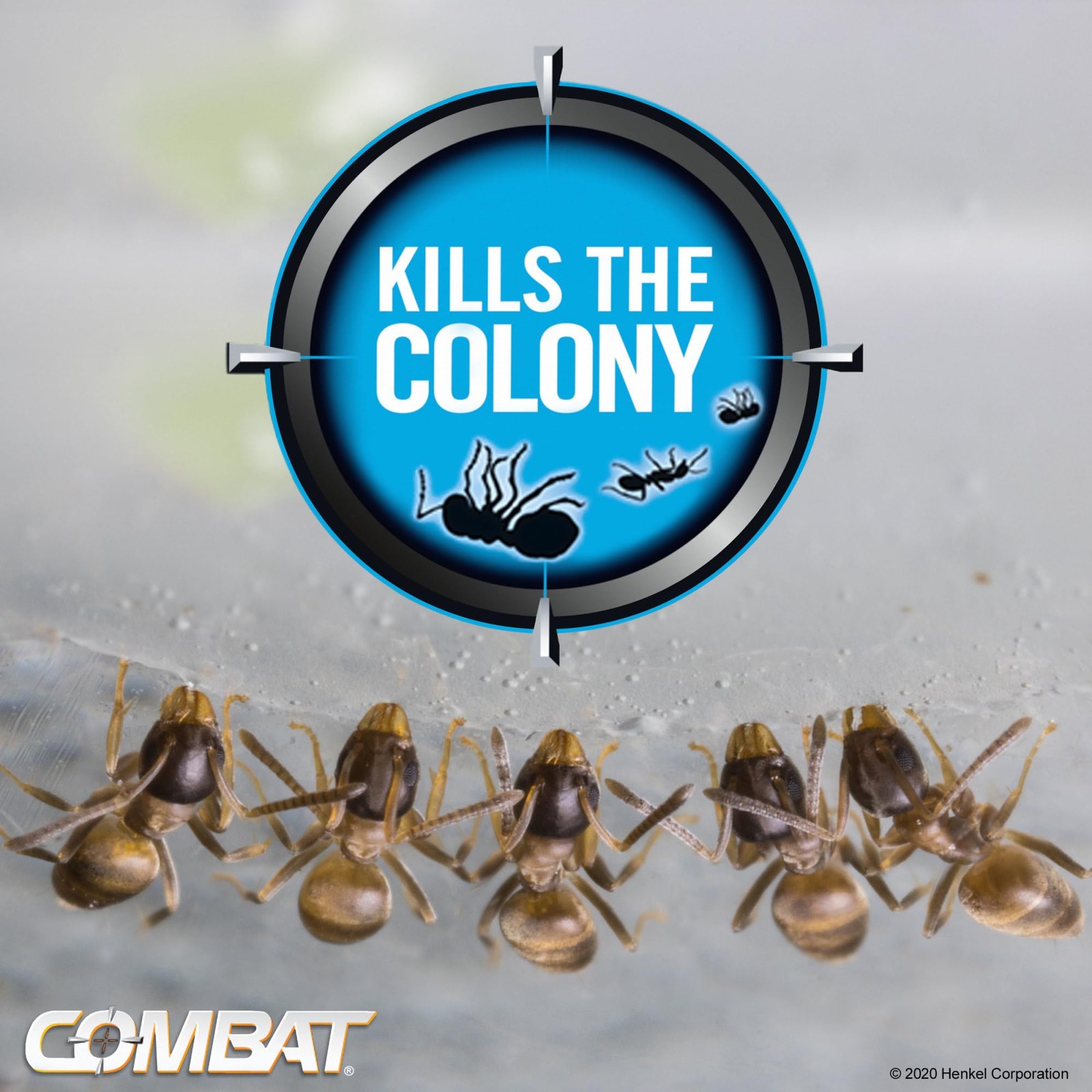 Combat Max Ant Killing Bait Stations, Indoor and 6 Count (Pack of 1), Black
