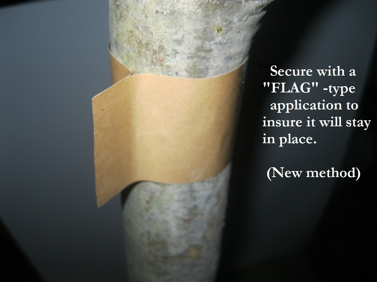 Slippery Caterpillar Barrier Tape. Gypsy Moth, Tent Caterpillar tree protection