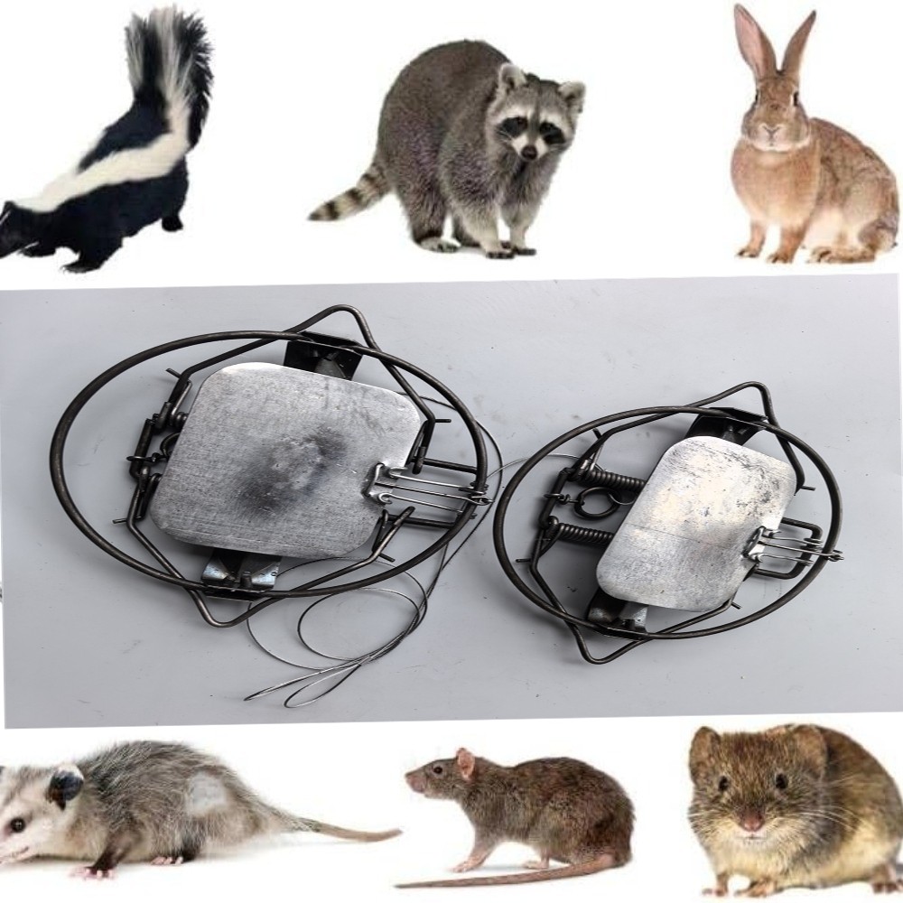 3Counts 5.12In / 13cm Strong Power Coil Spring Nutria Rabbit Trap Mice Rat Mouse