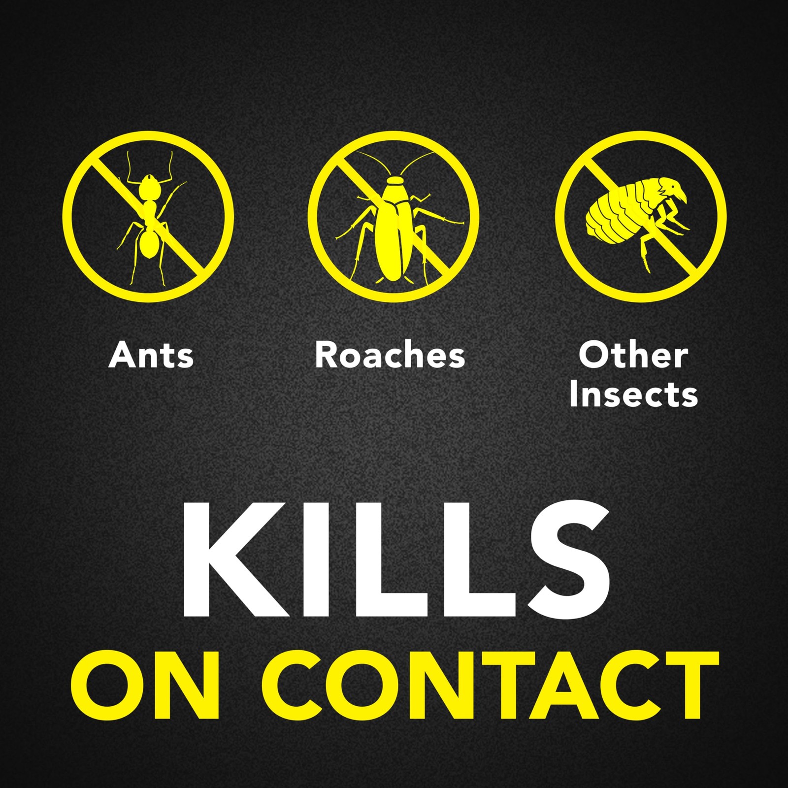 Raid Ant & Roach Killer Spray For Listed Bugs, Keeps 17.5 Fl Oz (Pack of 1)