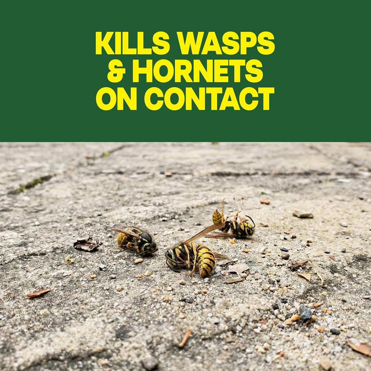 Raid Wasp & Hornet Killer Spray, Kills the Entire Nest, For Paper Wasps, Yellow