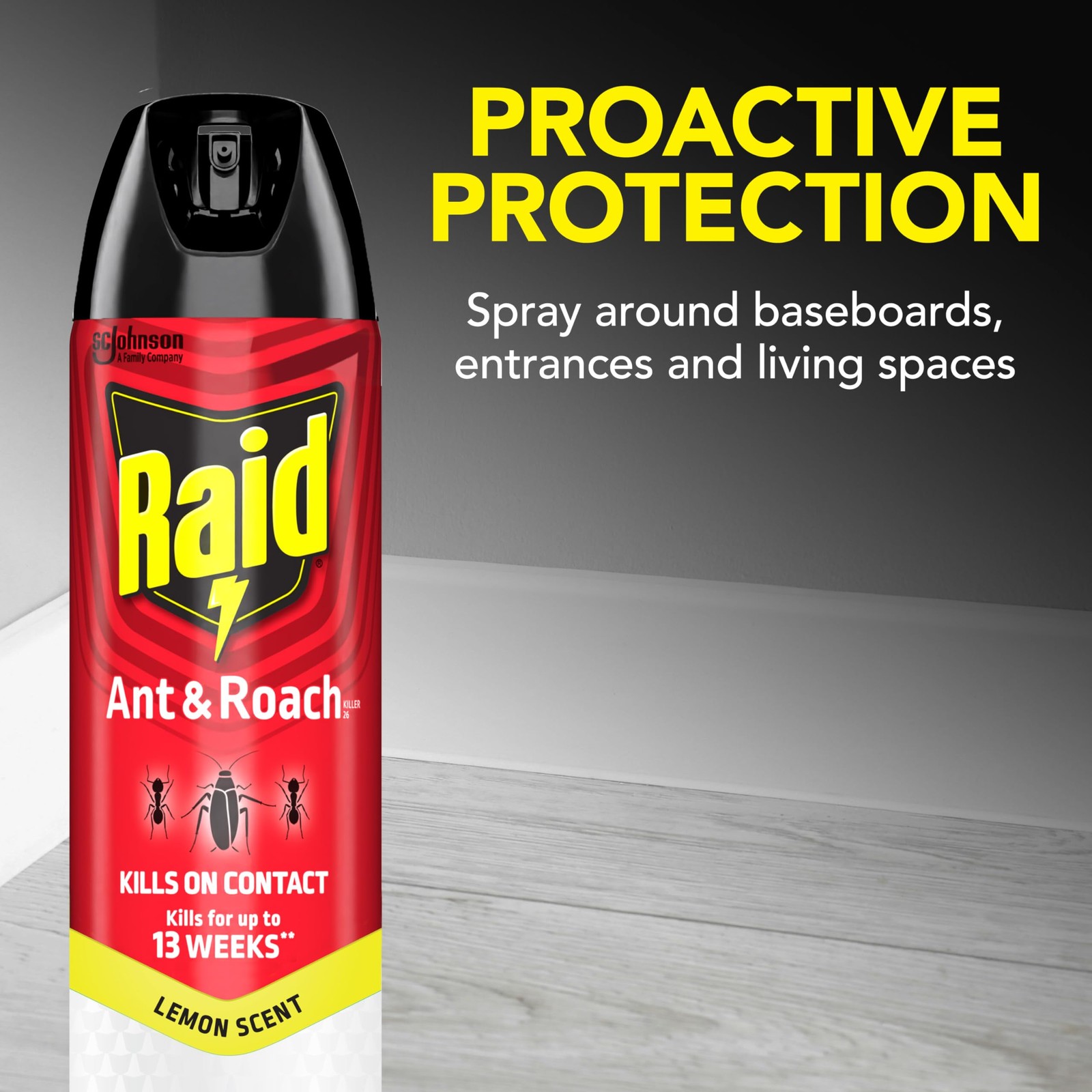 Raid Ant & Roach Killer Spray For Listed Bugs, Keeps 17.5 Fl Oz (Pack of 1)