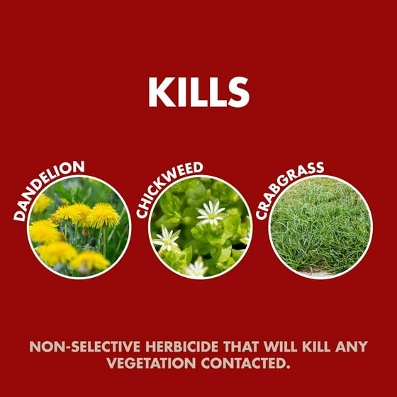 Spectracide Weed and Grass Killer 128 Oz Sprayer Ready-to-use 1 Gallon