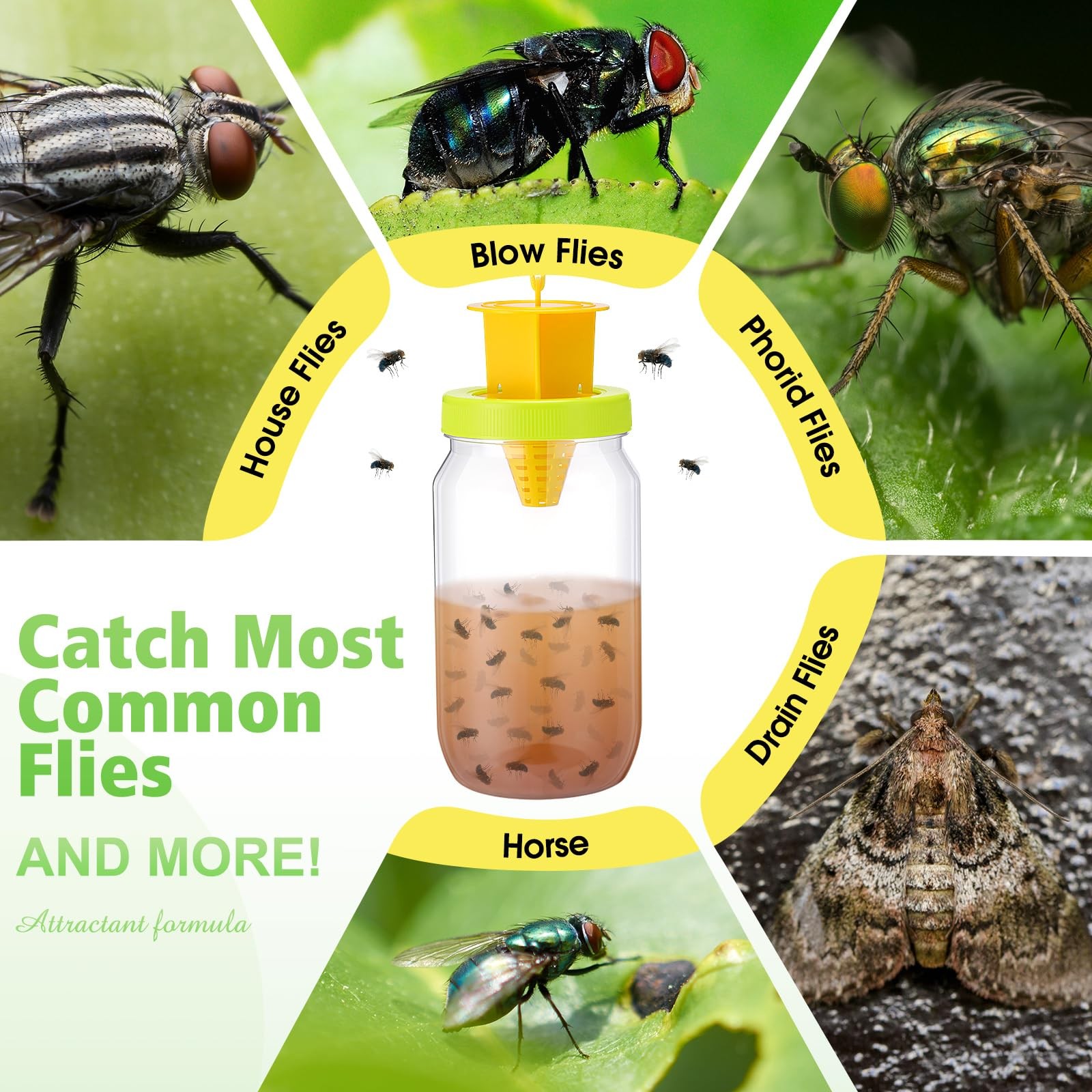 18 Pack Fly Traps Outdoor, Reusable Fly Catcher Bottles with Hanging Flies Tr…