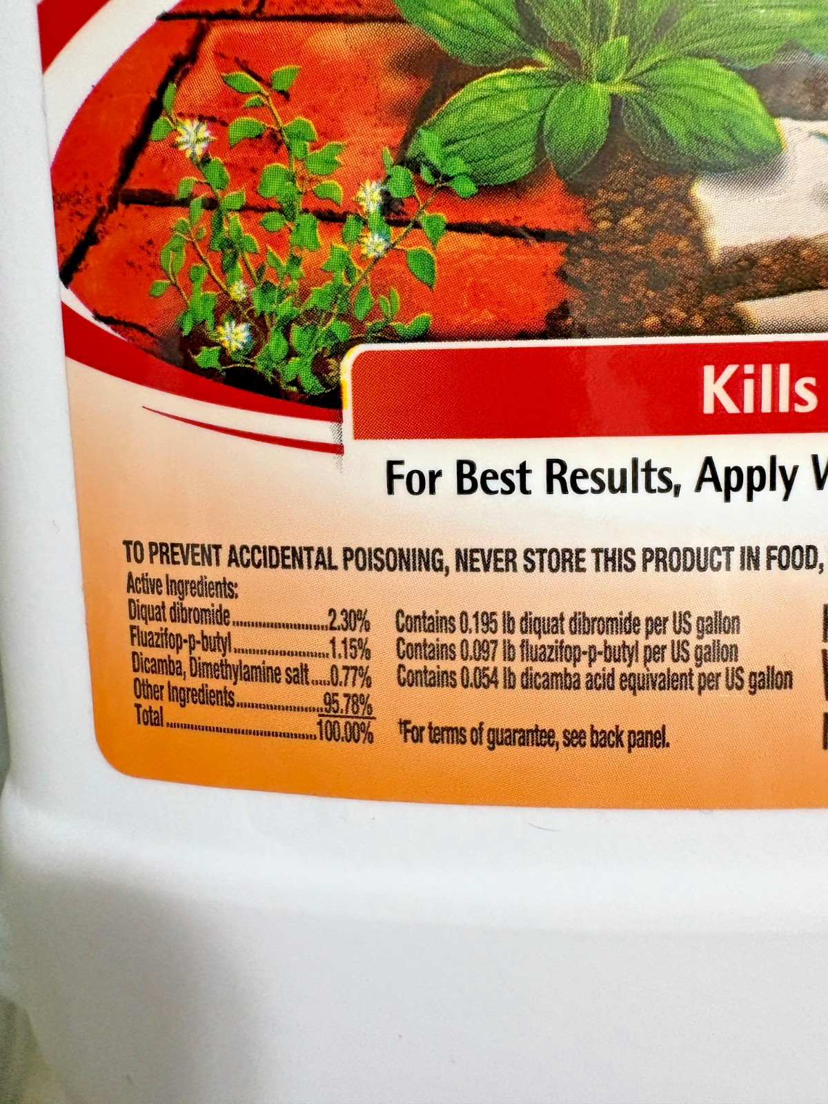 Spectracide Weed & Grass Killer Concentrate 64 Oz Herbicide Kills Root Fast