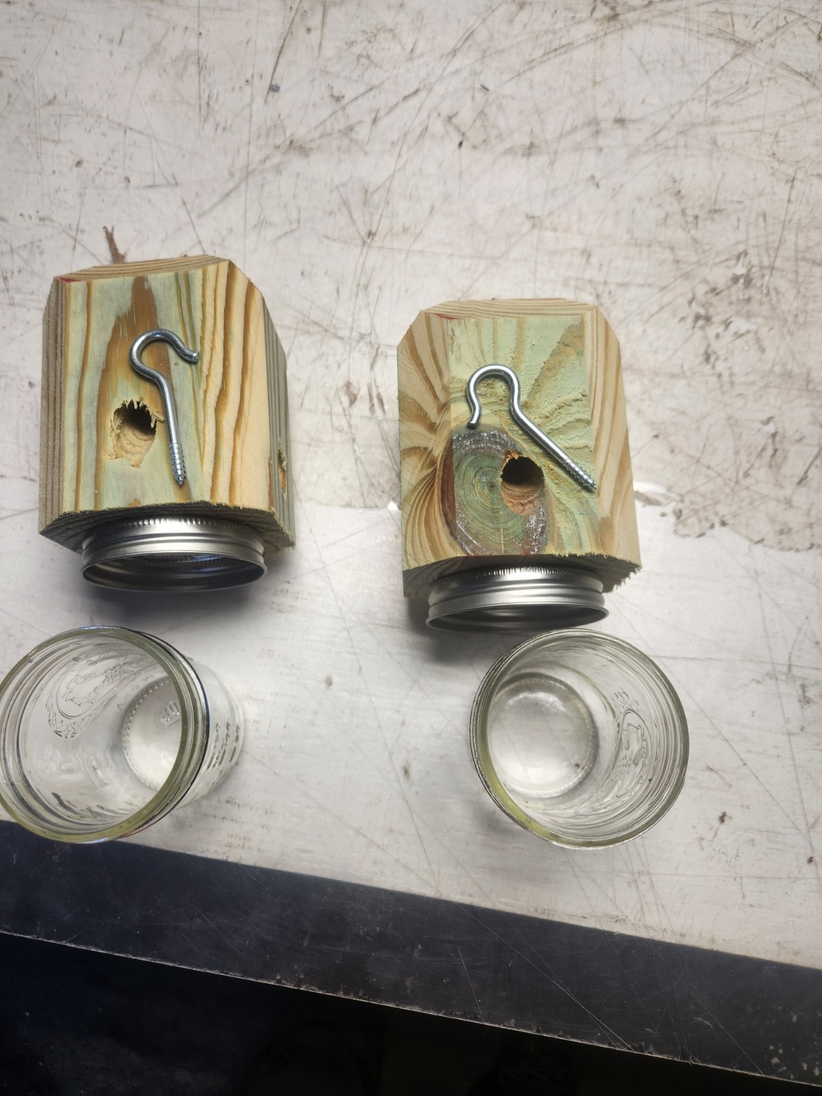 lot of 2 carpenter bee traps