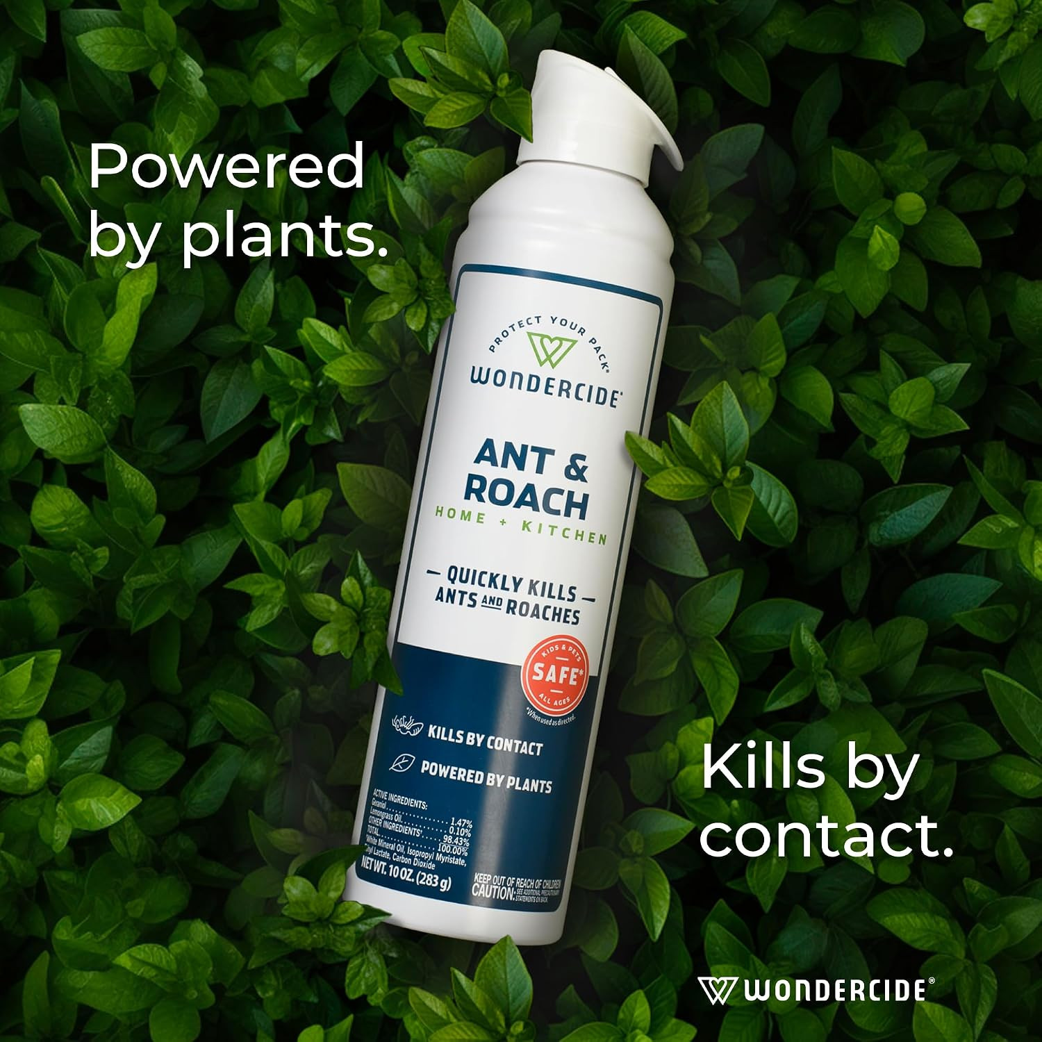 Wondercide – Ant & Roach Aerosol Spray for Kitchen, Home, and Indoor Areas – Ant
