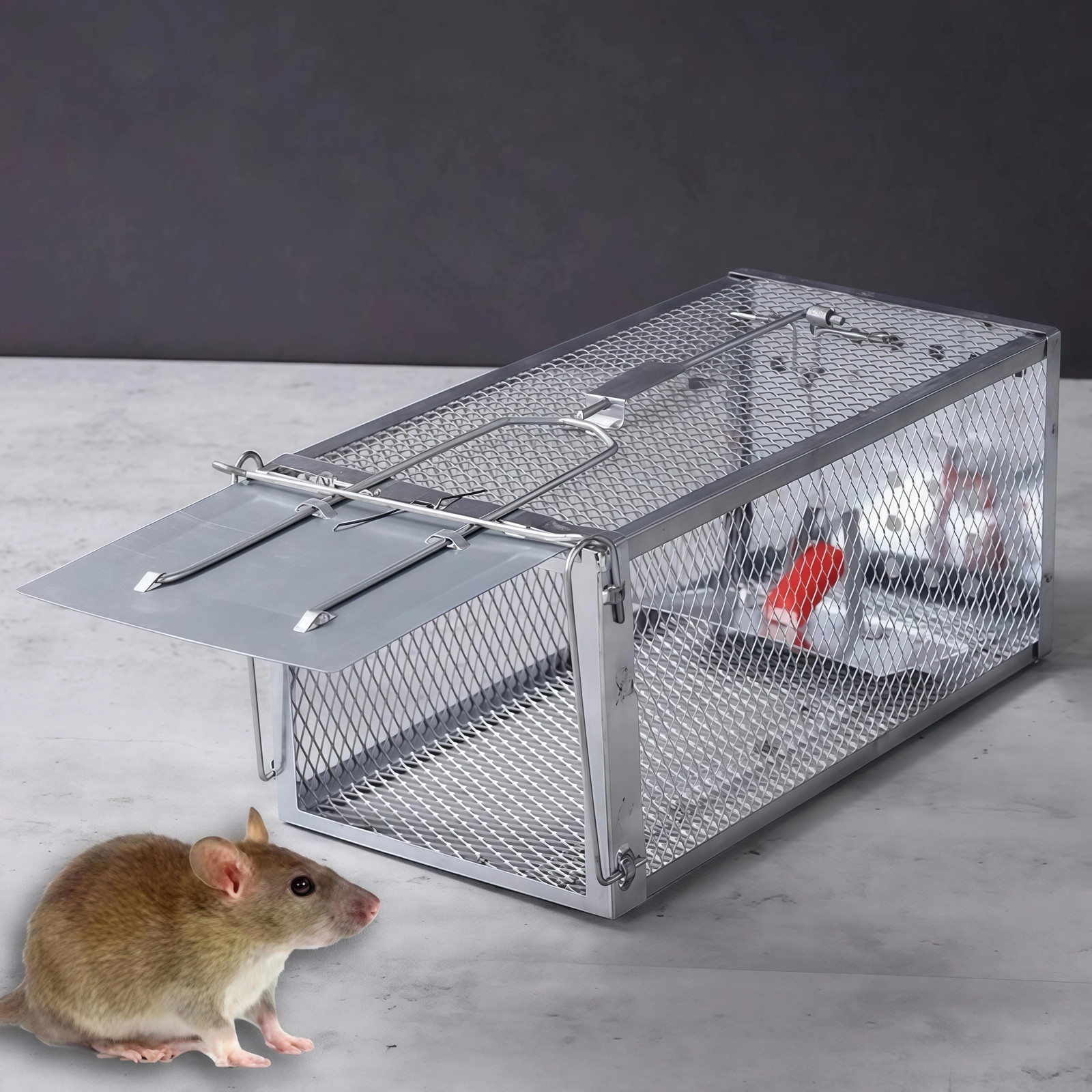 USA Mouse Trap Rat Trap Rodent Trap Live Catch Cage Easy to Set Up and Reuse